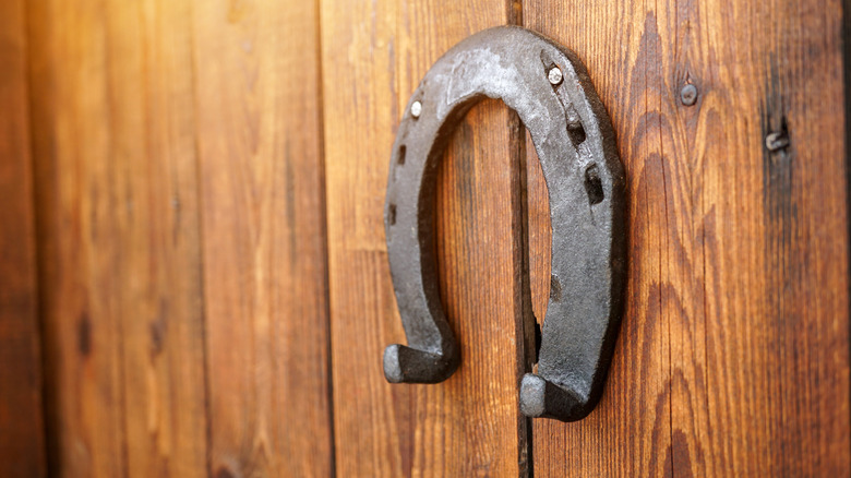 What hanging a horseshoe on your front door is really saying