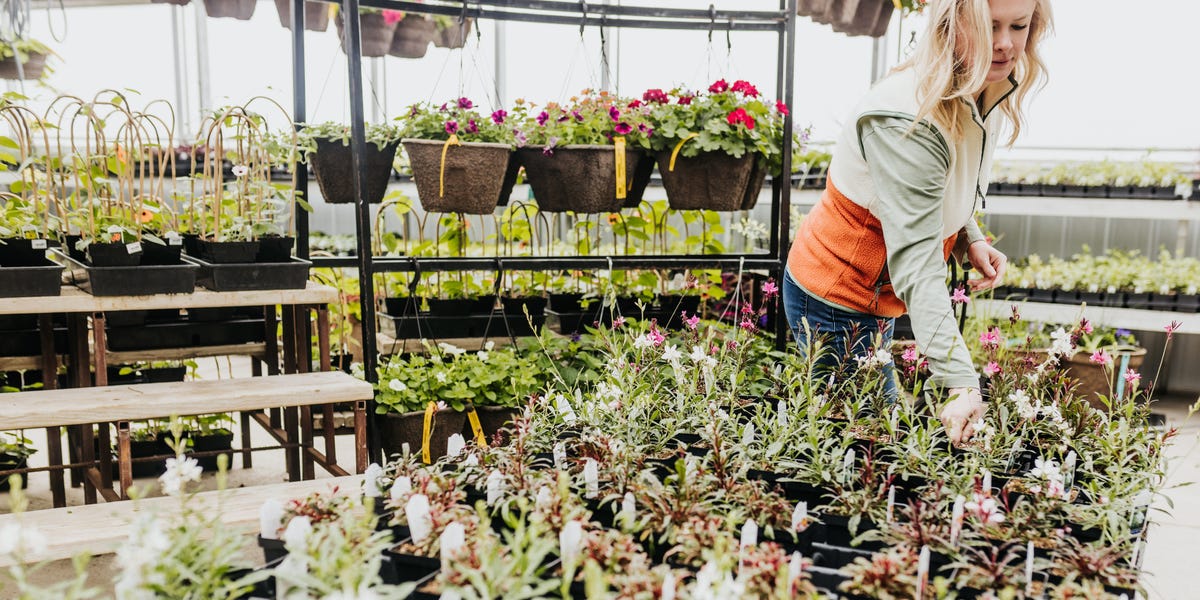 A Gardening Pro Explains How to Read Plant Tags