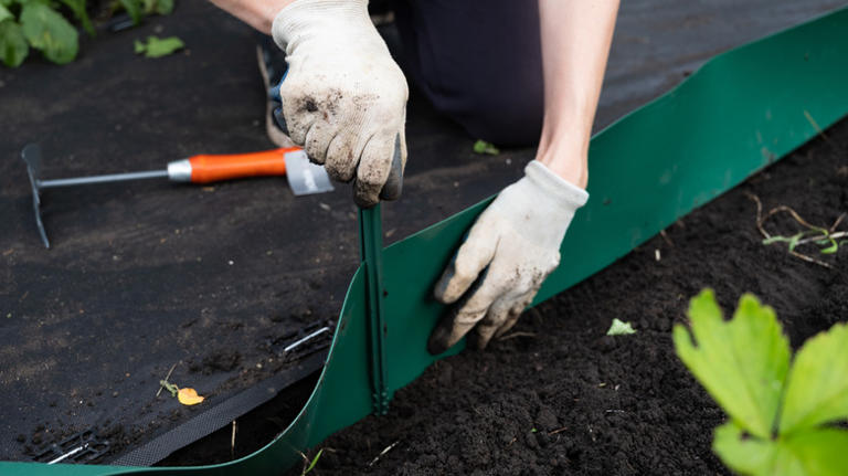 Not plastic edging: The eco-friendly alternative that'll add a tropical ...