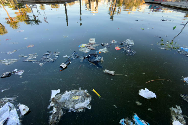 The MacArthur Park trash disgrace