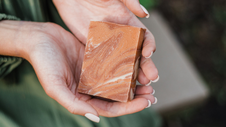 The Fascinating Reason People Are Putting Bar Soap In Their Garden (& If You Should Too)