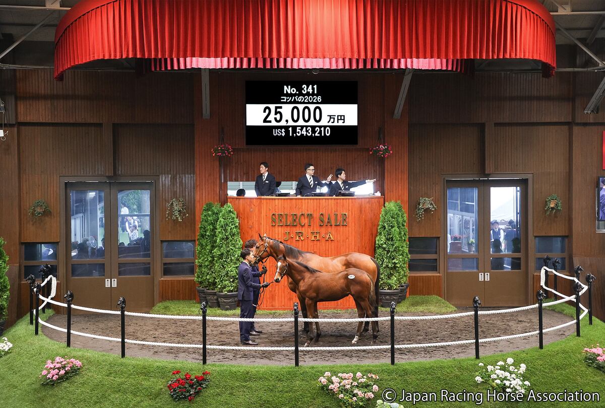 国内最大級の競り市「セレクトセール」開催、苫小牧に競馬関係者が集結し熱狂の2日間