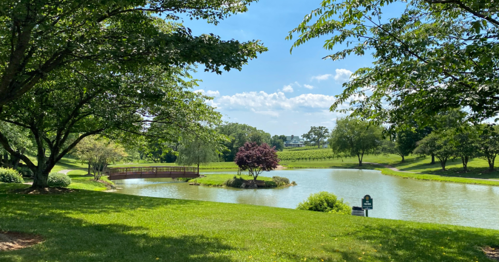 Lake at Shelton Vineyard in Dobson, North Carolina