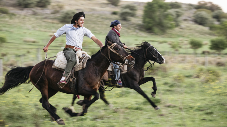 Argentine gauchos on horseback ride galloping through the pampas