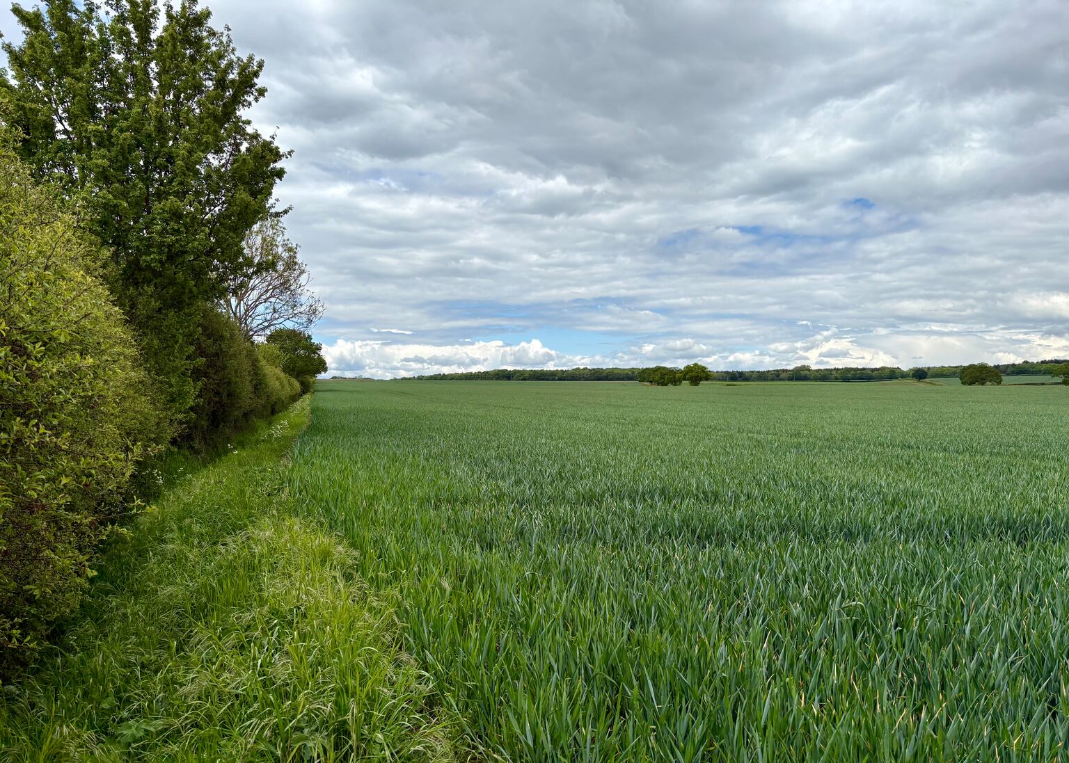 Strawberry Hill has lots of ‘middle’ unaffected by the surrounding conventional farmland