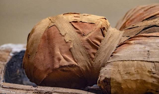 A close-up of an ancient mummified object wrapped in faded fabric and bandages.
