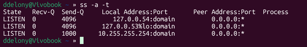 Output of the Linux ss -a -t command showing open TCP sockets in the terminal.