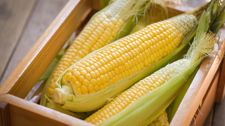 Yes, You Can Deep Fry Corn On The Cob