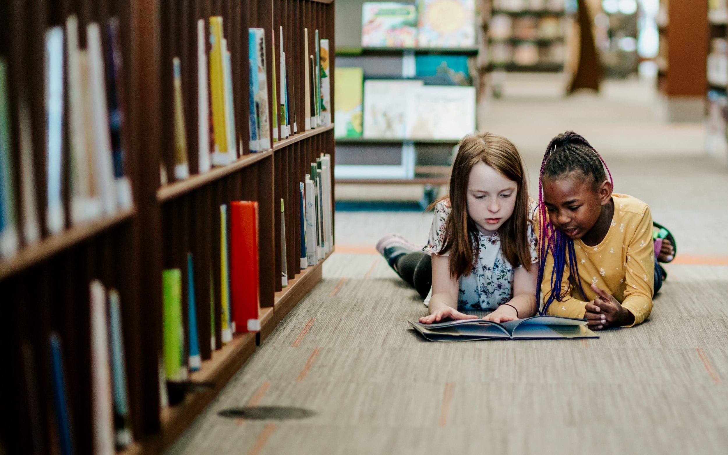 Parliament's education committee has recommended that every child at birth should automatically be given a local library card