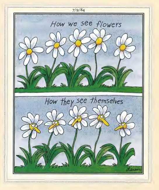 Larson Pictured Flowers With Faces
