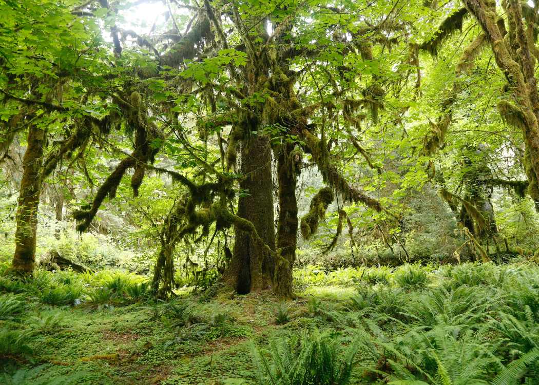 29 Exotic Places in the US — How Many Have You Actually Visited? 27