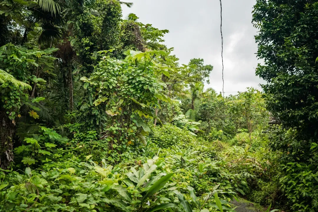 The stunning essence of Puerto Rico