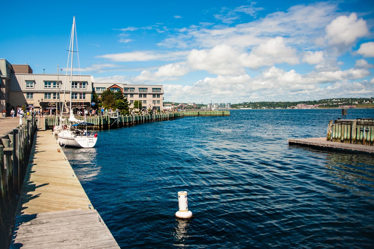 A view of waterfront docks with sailboats at a harbor buildings and land visible in the background