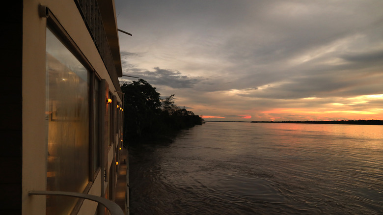 How worried about piranha attacks should you really be on a South American vacation?