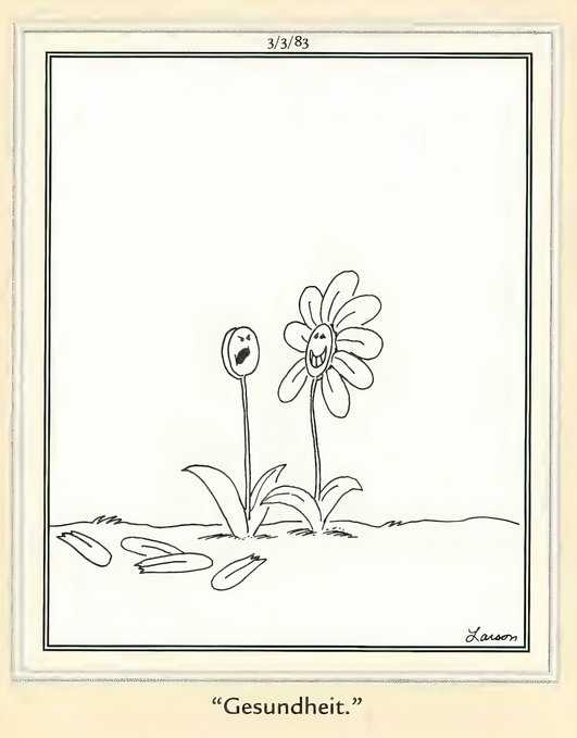 Far Side Gesunheit