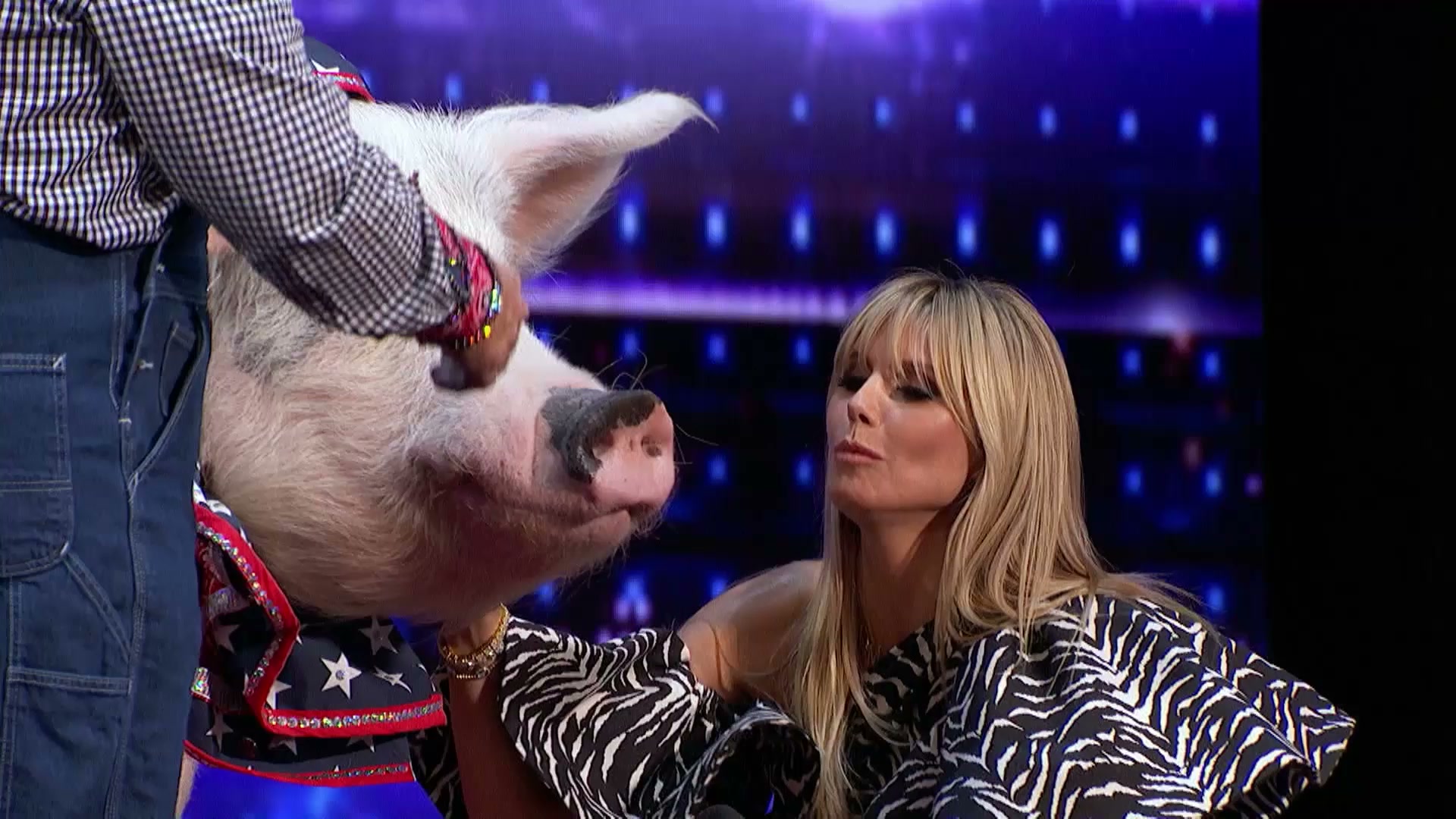 Pork Chop Revue - Pig act