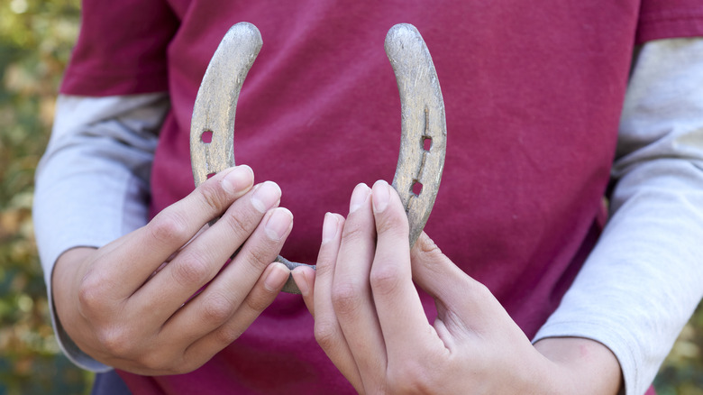 What Hanging A Horseshoe On Your Front Door Is Really Saying