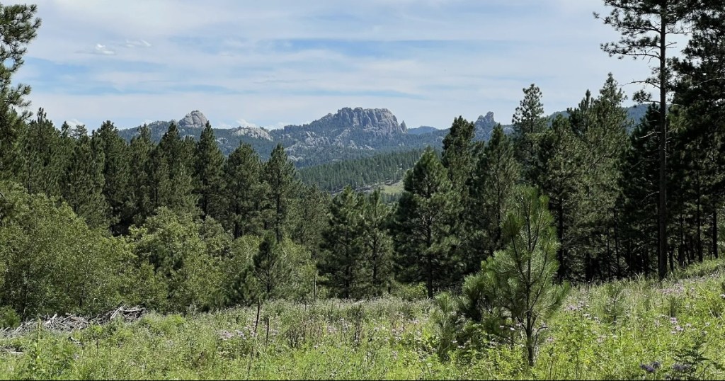 View of mountains and trees during the spring as seen hiking on the Samelius Trail.