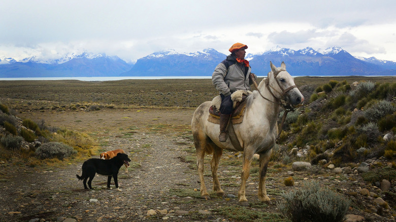Patagonian gaucho on horseback in Argentina