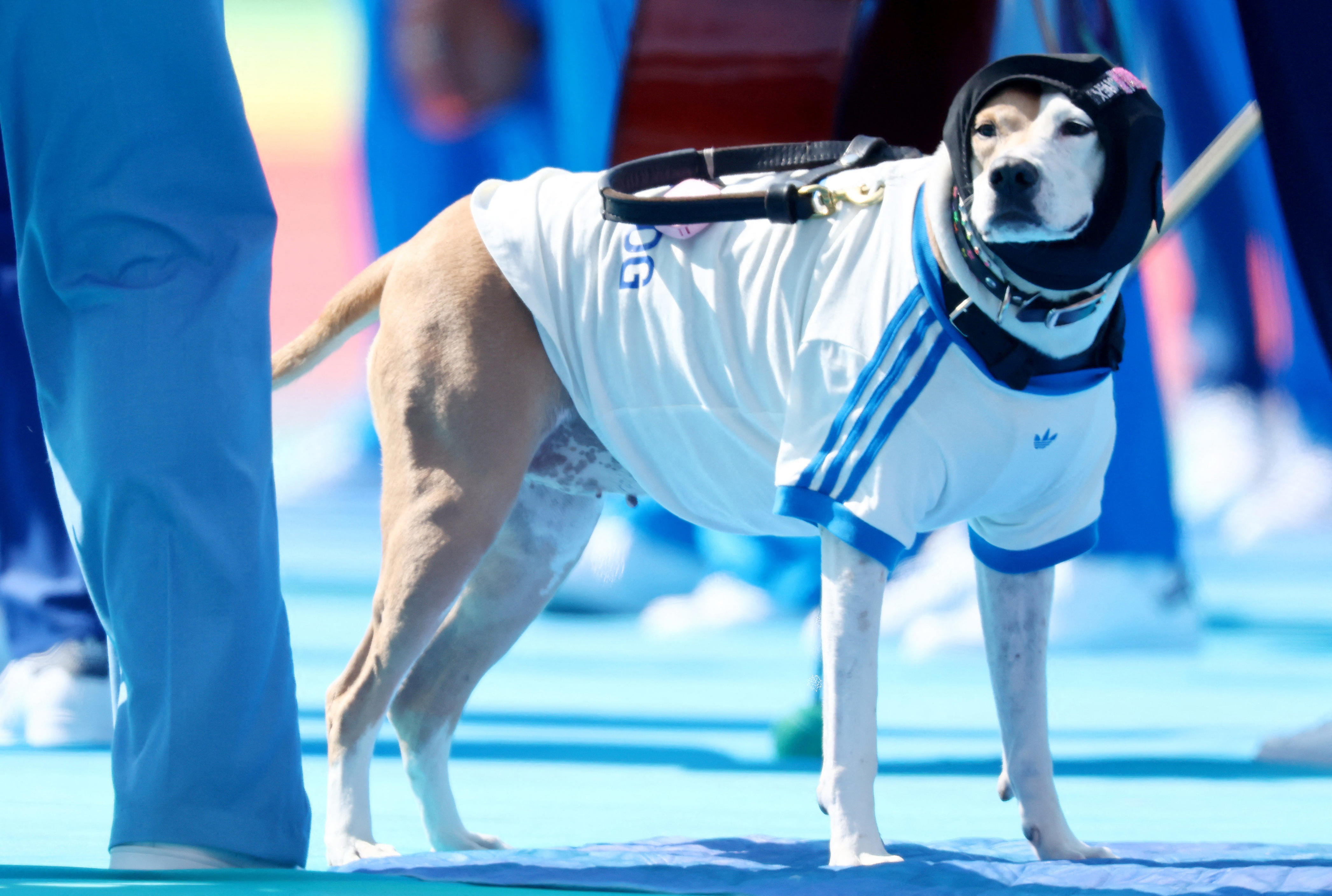 Best images from World Cup halftime show featuring Madonna, Justin Bieber