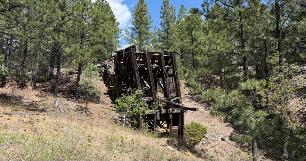 One of the many fallen structures along the wooded trail leading to an abandoned mine in South Dakota