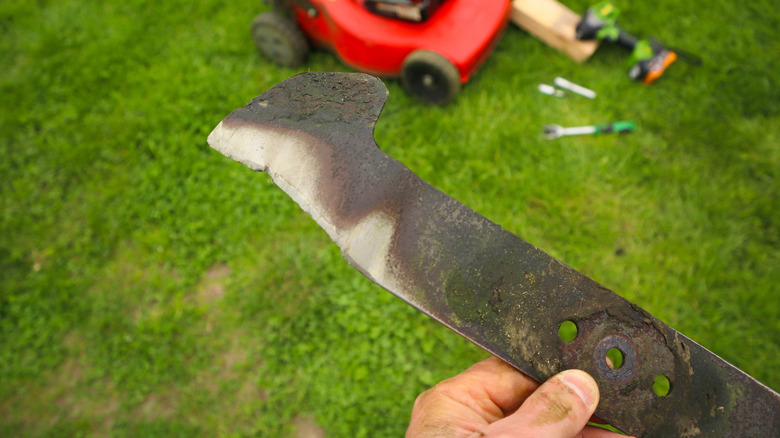 Person holding a dull lawn mower blade
