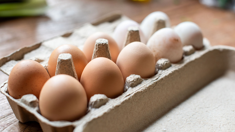 Open carton of ten eggs