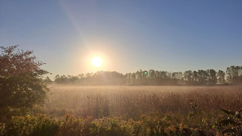Between Grand Rapids and Lake Michigan is a lovely park with wetland trails, storybook bridges, and wildlife