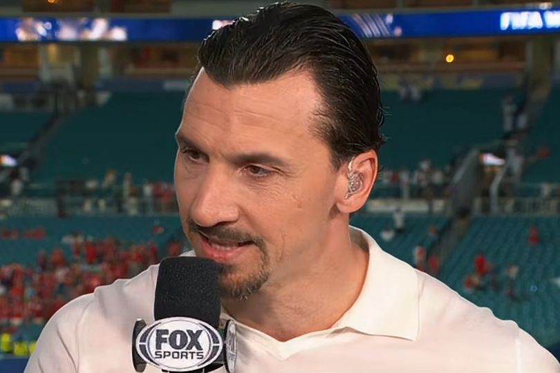 Zlatan Ibrahimovic's candor impressed some fans who expressed wishes he would be hired on a permanent basis