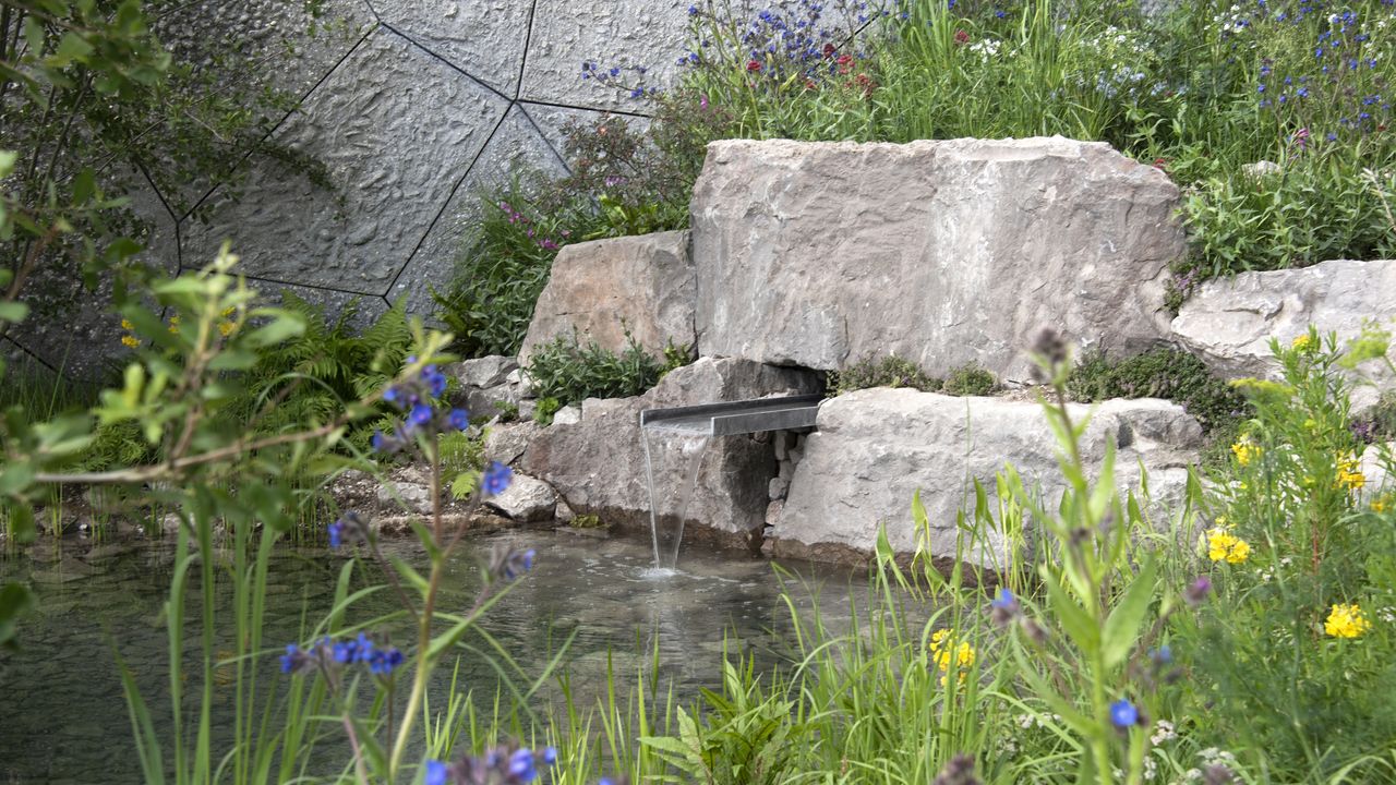 7 unexpected ways to reuse household water in the yard when your rain barrels run dry