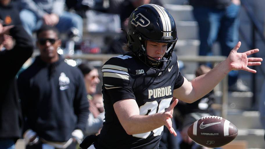 Purdue Boilermakers punter Sam Dubwig (95).