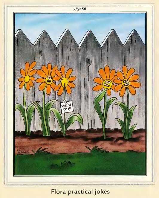 Far Side Flowers Are Practical Jokers Too