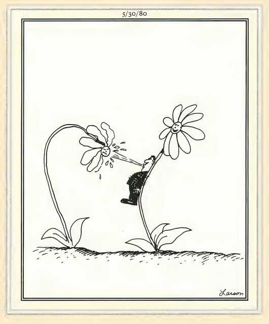 Far Side Splitting Flower Joke