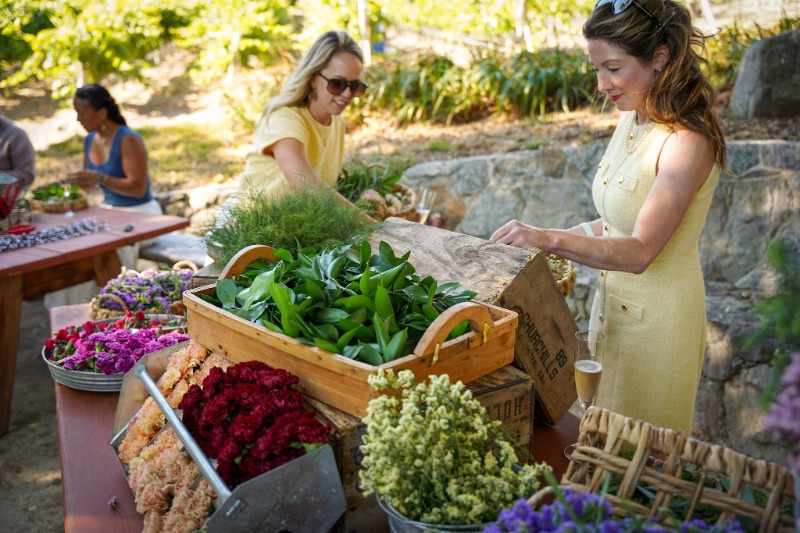 Dawn's Dream Winery Hosts Its First Summer Solstice Farm-to-Table Dinner in Carmel Valley - Image credit Christina-Lauren Pollack