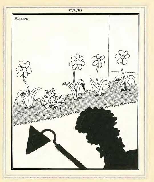 Far Side There's An Impostor Flowers