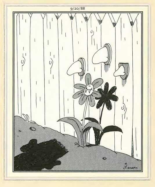 Noses on the wall in The Far Side