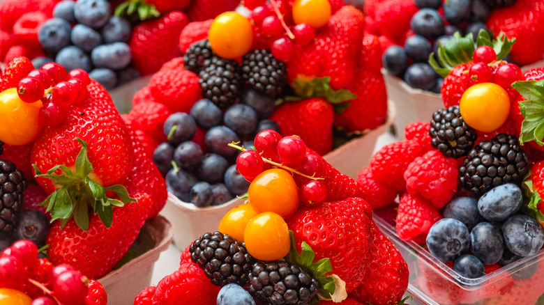 Punnets of mixed berries at market
