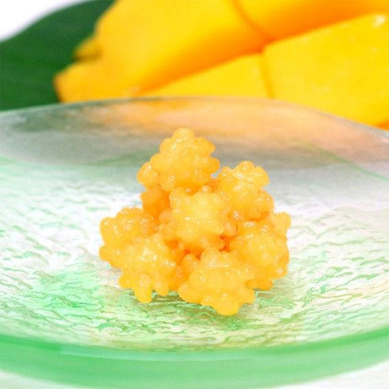 スピノザの診察室』マチ先生が白衣に忍ばせた「濃茶の金平糖」1847年
