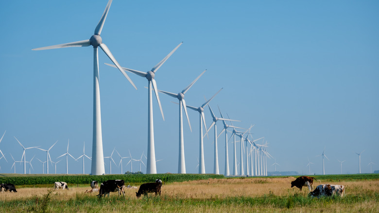 Europe is coming up with an unexpected new job for old wind turbines