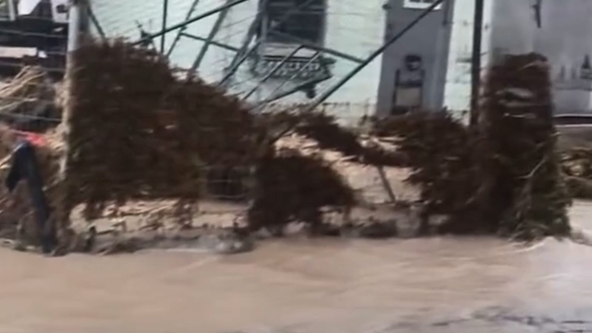 Severe flooding causes damage to animal rescue centre in Texas