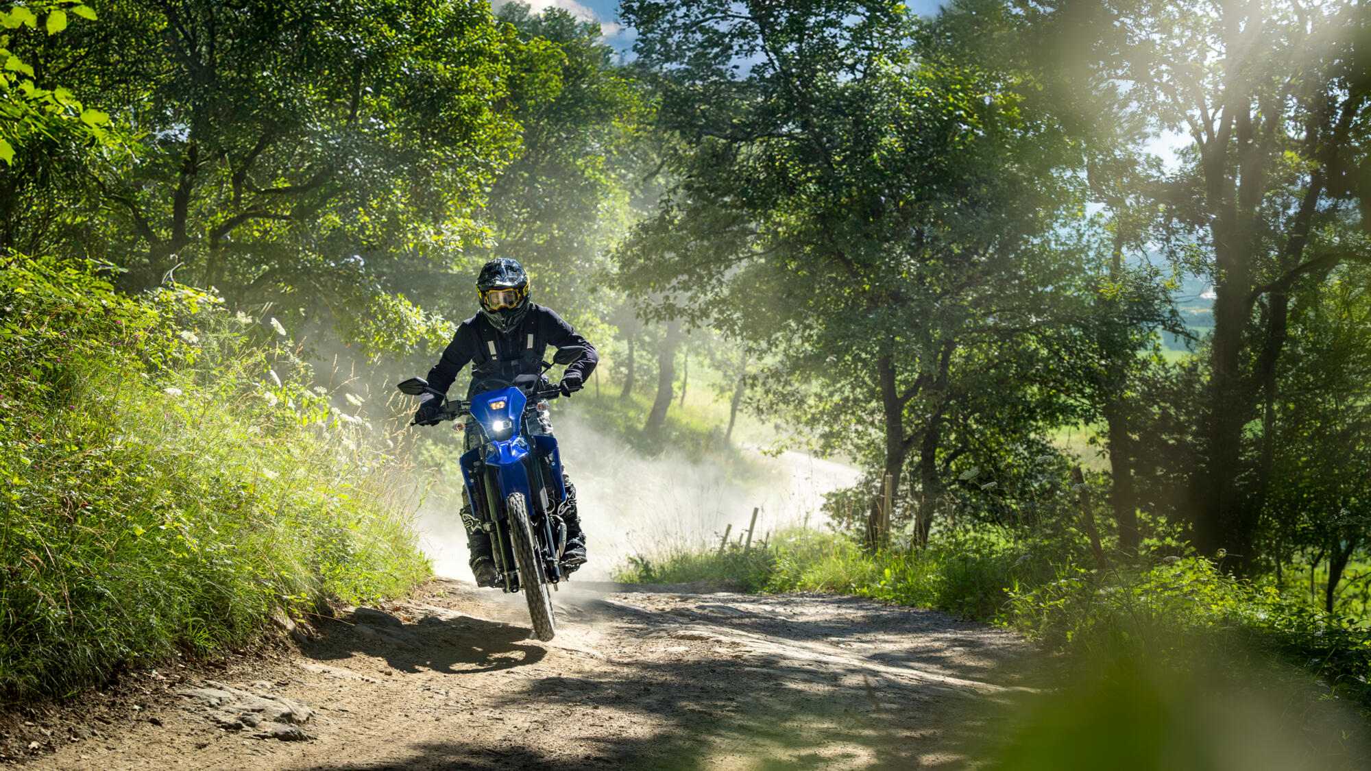 2026 Yamaha WR125R Jumping Through A Forest Trail