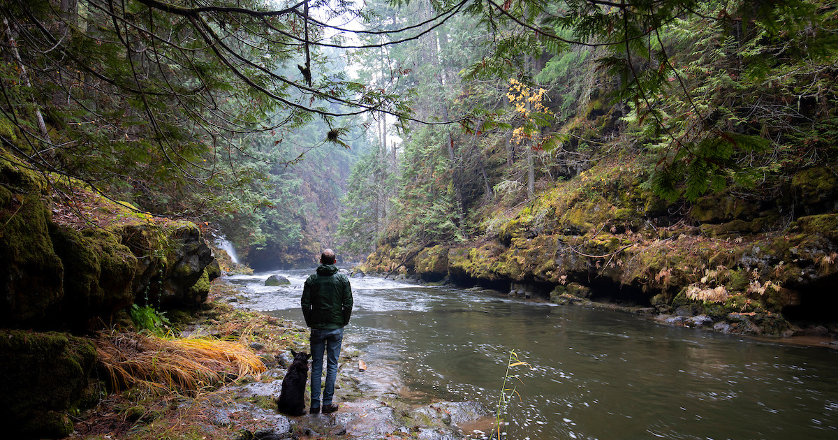 Conservation victory for Columbia Gorge forests