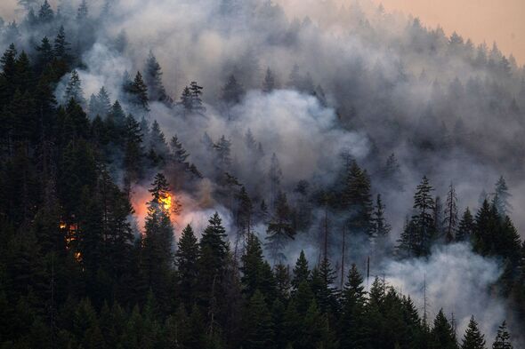 Brunswick Creek Wildfire in British Columbia