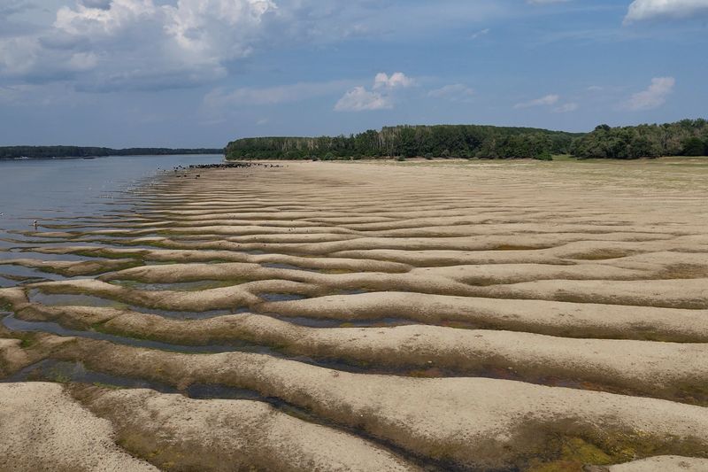 Water levels of the Danube river in Romania fell to their lowest levels in three decade