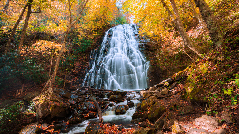 North Carolina's 'Basecamp To The Blue Ridge' Offers Local Crafts, Waterfalls, And Wild Views