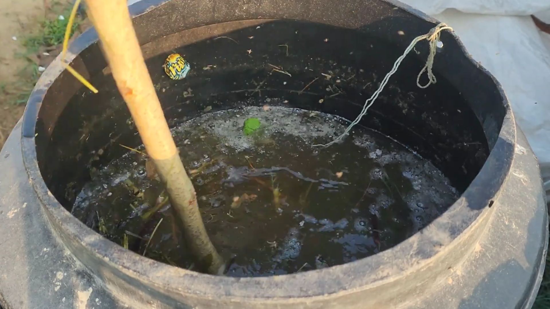 DIY organic fertilizer: Turn garden weeds into plant food