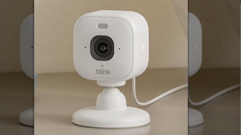 The Blink Mini 2K+