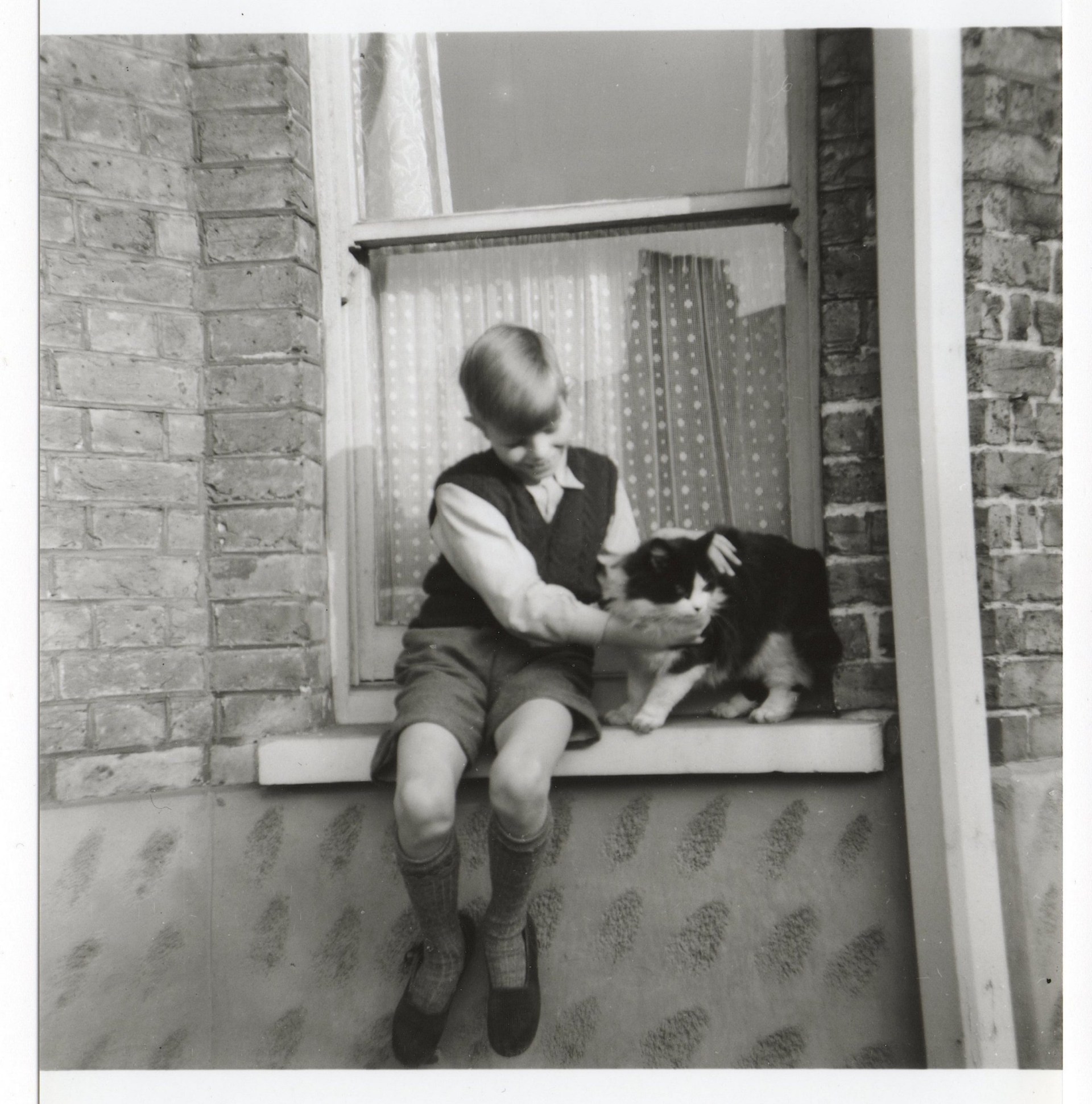 David Jones, aka David Bowie, stroking a cat in a black and white image
