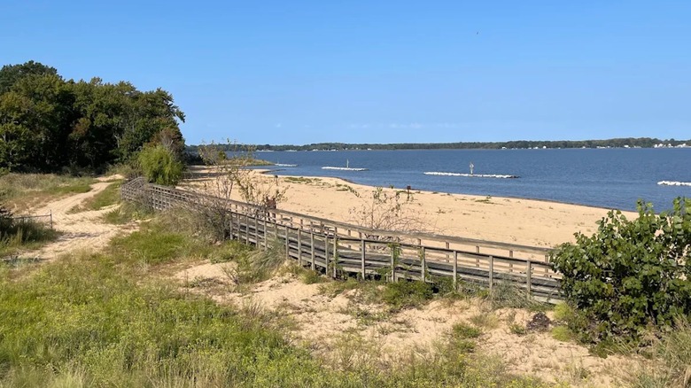 View of the sandy beach at Hart-Miller Island State Park