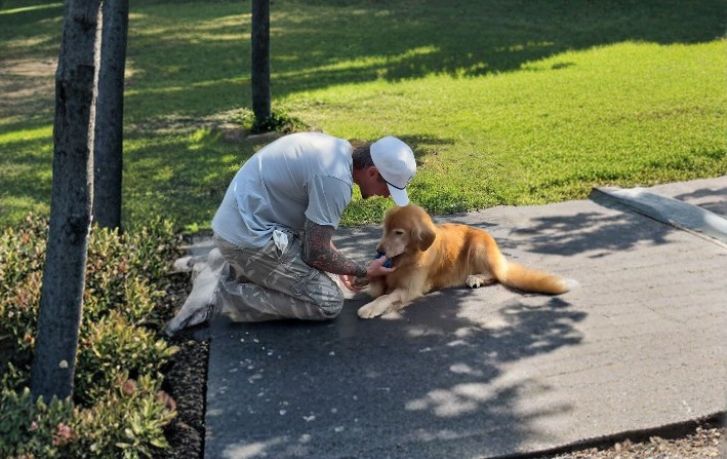 Why a 6-Year-Old Rescue Golden Won This Family Over Fast
